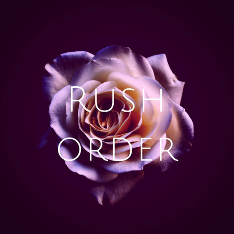 Rush Listing - 72hr Turnaround - Add on item only