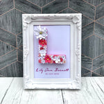 Baby Girl Nursery Decor