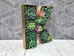 Personalised Succulent Gift