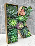 Personalised Succulent Gift