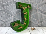 Dinosaur Bedroom Decor, Gift for Grandson, Dinosaur Decor, Dinosaur Birthday Party