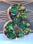 Personalised Succulent Gift