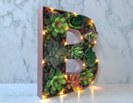 Rose Gold Home Decor, Succulent Gift for Her