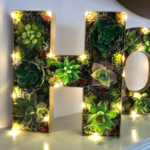 Home Sweet Home sign, Succulent Home Decor