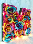 Rainbow Home Decor, Rainbow Room Decoration, Multicoloured Gift for Her, Flower Letter