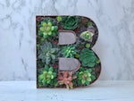 Rose Gold Home Decor, Succulent Gift for Her