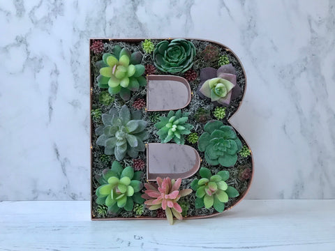 rose gold succulent Rose Gold Home Decor, Succulent Gift for Her – Love Letters by Analisa