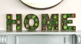 Home Sweet Home sign, Succulent Home Decor