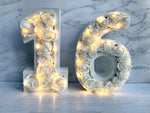 Light up numbers, Flower numbers, Sweet 16 decor, Floral filled numbers, Freestanding number