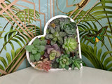 Succulent Heart Decoration, Succulent Home Decor