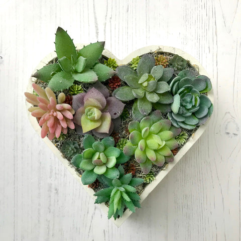 Succulent Heart Decoration, Succulent Home Decor