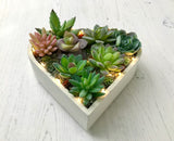 Succulent Heart Decoration, Succulent Home Decor