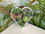 Succulent Heart Decoration, Succulent Home Decor