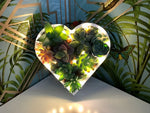 Succulent Heart Decoration, Succulent Home Decor