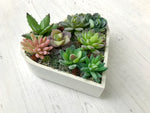 Succulent Heart Decoration, Succulent Home Decor